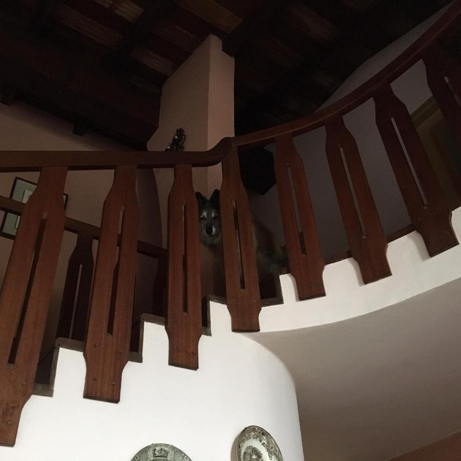 Adrara San Rocco Mirabilia Bed & Breakfast エクステリア 写真