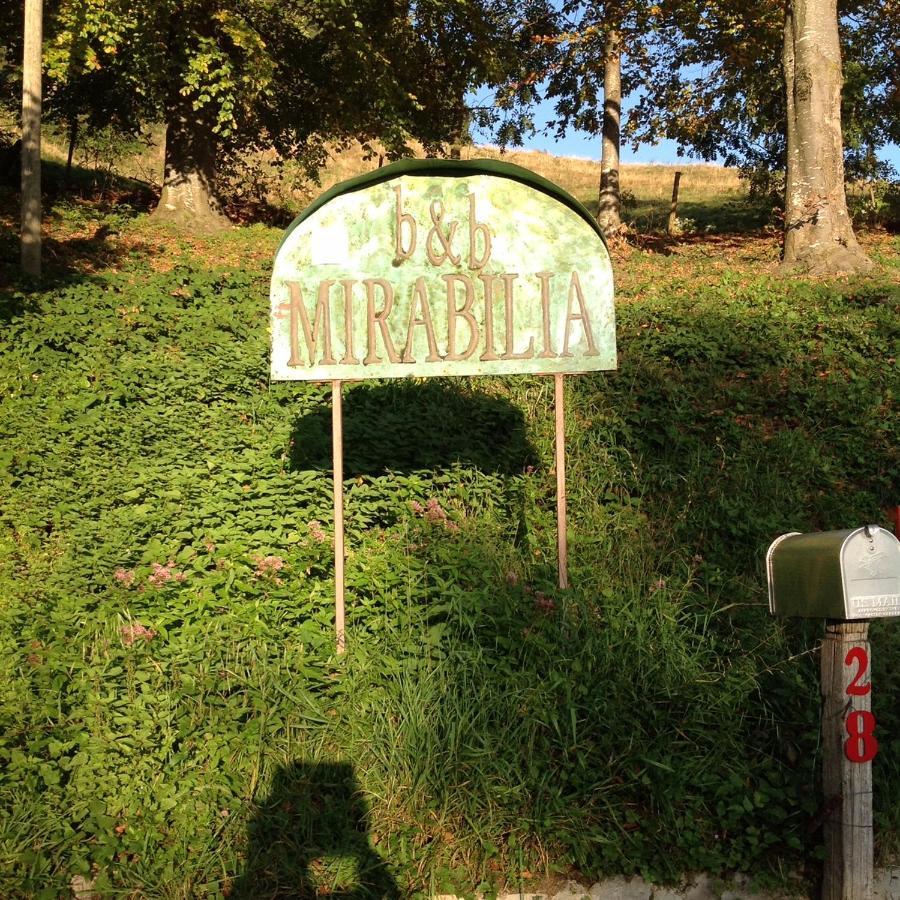 Adrara San Rocco Mirabilia Bed & Breakfast エクステリア 写真